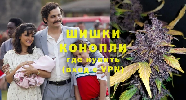 гашиш Богданович