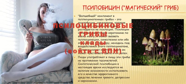 гашиш Богданович