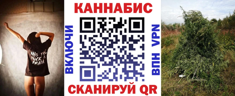 Бошки марихуана THC 21% Благодарный