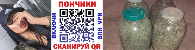 Бошки марихуана план  Благодарный 